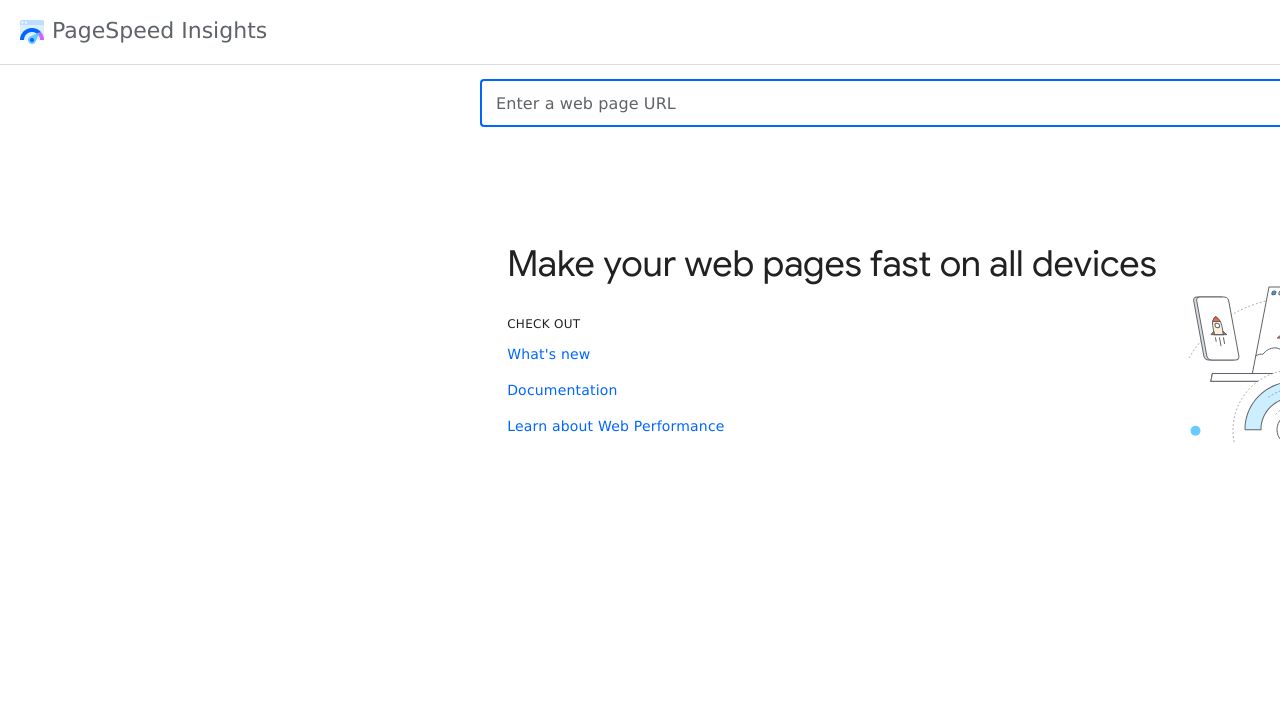 Google PageSpeed Insights homepage